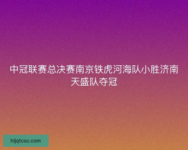 中冠联赛总决赛南京铁虎河海队小胜济南天盛队夺冠