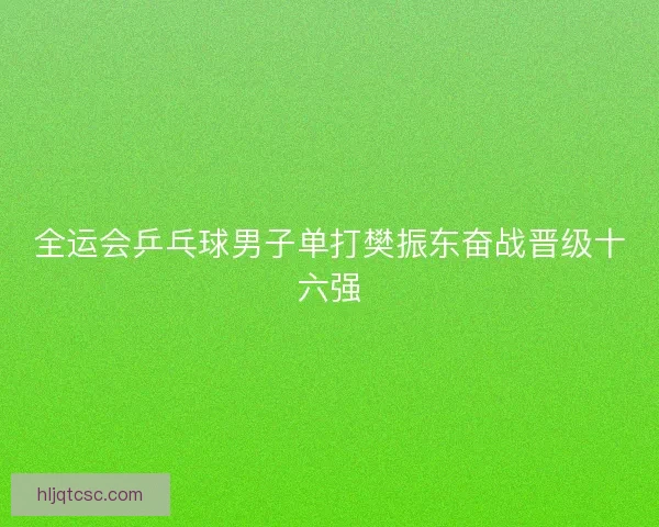 全运会乒乓球男子单打樊振东奋战晋级十六强