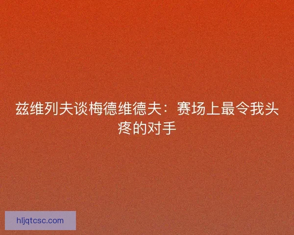 兹维列夫谈梅德维德夫：赛场上最令我头疼的对手