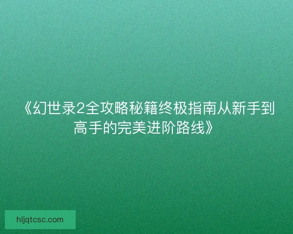 《幻世录2全攻略秘籍终极指南从新手到高手的完美进阶路线》